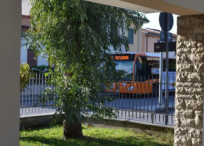 My Way לינה וארוחת בוקר פיזה